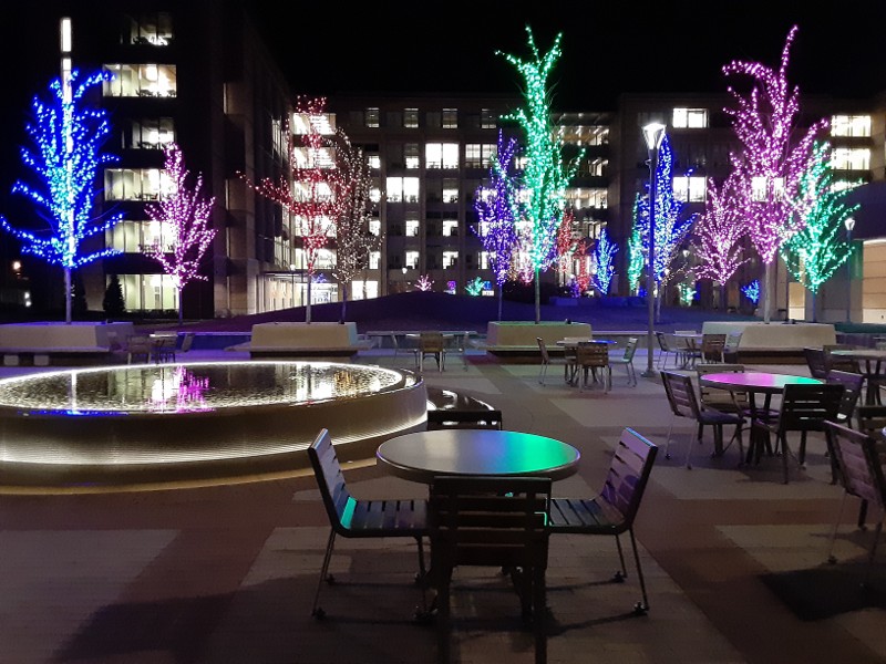 Outdoor Christmas lights at the MTC